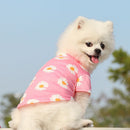 Camisa Pet Tendência Floral | Para Cachorro e Gato