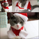 Conjuntinho de Natal Pet | Para Cachorro e Gato