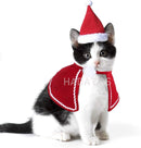 Conjuntinho de Natal Pet | Para Cachorro e Gato