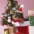 Conjuntinho de Natal Pet | Para Cachorro e Gato