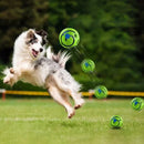 Bola Inteligente com Som Super Resistente para Pets – Pet Sound Ball™ | Diversão Interativa e Estímulo Diário