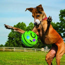 Bola Inteligente com Som Super Resistente para Pets – Pet Sound Ball™ | Diversão Interativa e Estímulo Diário