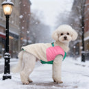 Jaqueta Go Up Pet Color Burst