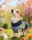 Jaqueta Go Up Pet Color Burst