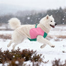 Jaqueta Go Up Pet Color Burst