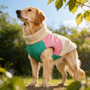 Jaqueta Go Up Pet Color Burst