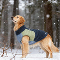 Jaqueta Go Up Pet Color Burst