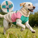 Jaqueta Go Up Pet Color Burst