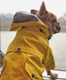 Capa de Chuva Pet | Para Cachorro