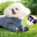 Macacão Protetor Impermeável | Para cães