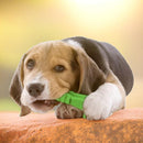 Mordedor para Cachorro - Muttly™